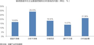 中国数据处理服务 大数据产业发展的核心引擎与投资蓝图